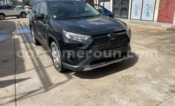 Buy Used Toyota RAV4 Black Car in Douala in Littoral Cameroon