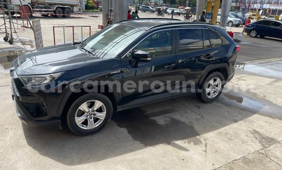 Acheter Occasion Voiture Toyota RAV4 Noir à Douala, Littoral Cameroon Acheter Occasion Voiture Toyota RAV4 Noir à Douala, Littoral Cameroon