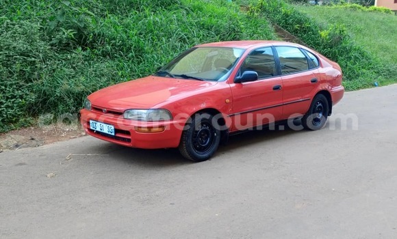 Buy Used Toyota Corolla Red Car in Yaounde in Central Cameroon