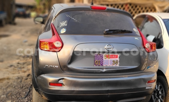 Buy Import Nissan Juke Silver Car in Douala in Littoral Cameroon