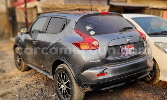 Acheter Import Voiture Nissan Juke Gris à Douala, Littoral Cameroon Acheter Import Voiture Nissan Juke Gris à Douala, Littoral Cameroon