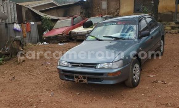 Acheter Occasion Voiture Toyota Corolla Autre à Douala, Littoral Cameroon Acheter Occasion Voiture Toyota Corolla Autre à Douala, Littoral Cameroon