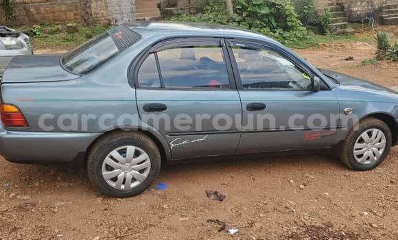 Acheter Occasion Voiture Toyota Corolla Autre à Douala, Littoral Cameroon Acheter Occasion Voiture Toyota Corolla Autre à Douala, Littoral Cameroon