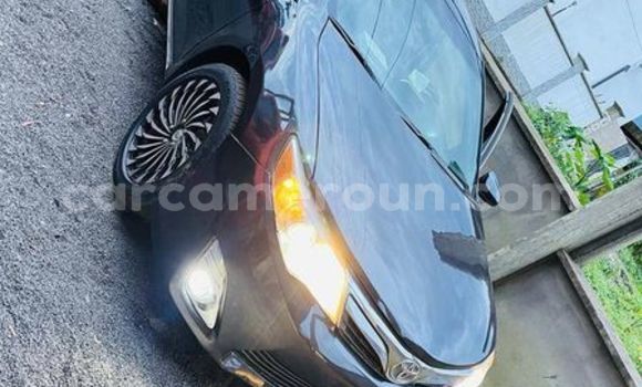 Sayi Na hannu Toyota Yaris Sauran Mota in Douala a Ƙasar Kamaru Sayi Na hannu Toyota Yaris Sauran Mota in Douala a Ƙasar Kamaru