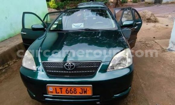 Acheter Occasion Voiture Toyota Corolla Autre à Douala, Littoral Cameroon Acheter Occasion Voiture Toyota Corolla Autre à Douala, Littoral Cameroon