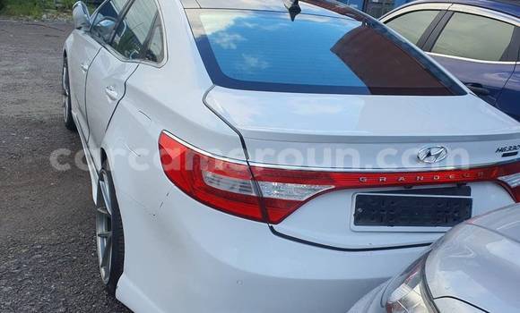 Buy Used Hyundai Grandeur White Car in Douala in Littoral Cameroon Buy Used Hyundai Grandeur White Car in Douala in Littoral Cameroon