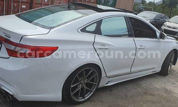 Buy Used Hyundai Grandeur White Car in Douala in Littoral Cameroon Buy Used Hyundai Grandeur White Car in Douala in Littoral Cameroon