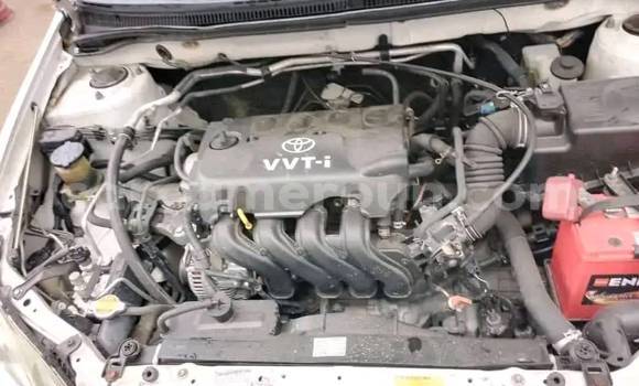 Sayi Na hannu Toyota Runx White Mota in Douala a Ƙasar Kamaru Sayi Na hannu Toyota Runx White Mota in Douala a Ƙasar Kamaru