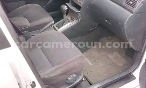 Sayi Na hannu Toyota Runx White Mota in Douala a Ƙasar Kamaru Sayi Na hannu Toyota Runx White Mota in Douala a Ƙasar Kamaru