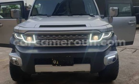 Acheter Occasion Voiture Toyota FJ Cruiser Autre à Douala, Littoral Cameroon