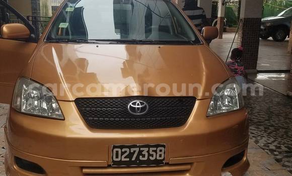 Sayi Na hannu Toyota Runx Sauran Mota in Douala a Ƙasar Kamaru