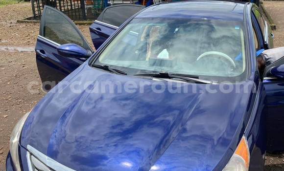 Acheter Occasion Voiture Hyundai Sonata Bleu à Douala, Littoral Cameroon