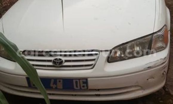 Acheter Occasion Voiture Toyota Avensis Verso Blanc à Douala, Littoral Cameroon