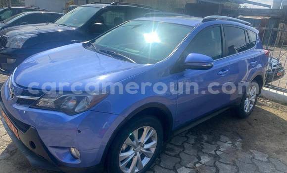 Buy Used Toyota RAV4 Blue Car in Douala in Littoral Cameroon Buy Used Toyota RAV4 Blue Car in Douala in Littoral Cameroon