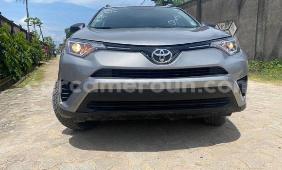 Buy Used Toyota RAV4 Other Car in Douala in Littoral Cameroon