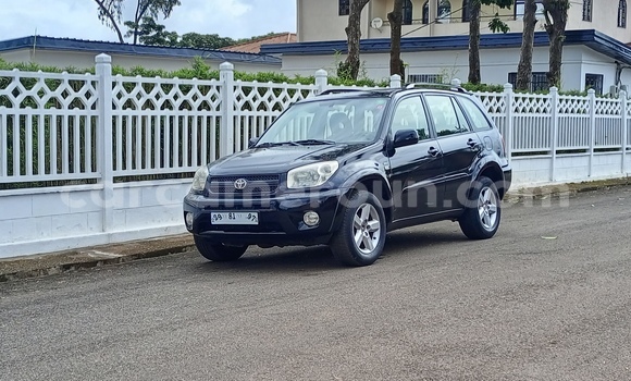 Buy Used Toyota RAV4 Black Car in Yaounde in Central Cameroon