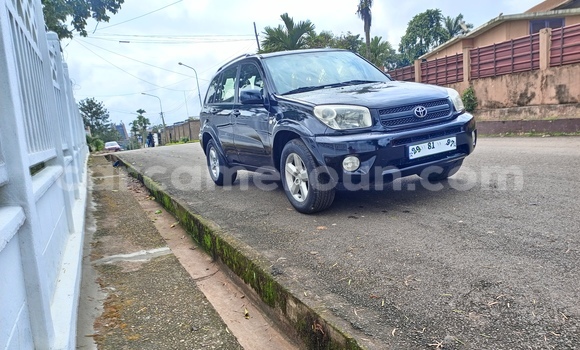Buy Used Toyota RAV4 Black Car in Yaounde in Central Cameroon Buy Used Toyota RAV4 Black Car in Yaounde in Central Cameroon
