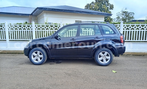 Buy Used Toyota RAV4 Black Car in Yaounde in Central Cameroon Buy Used Toyota RAV4 Black Car in Yaounde in Central Cameroon