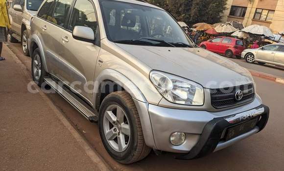 Acheter Occasion Voiture Toyota RAV4 Marron à Yaoundé, Central Cameroon Acheter Occasion Voiture Toyota RAV4 Marron à Yaoundé, Central Cameroon