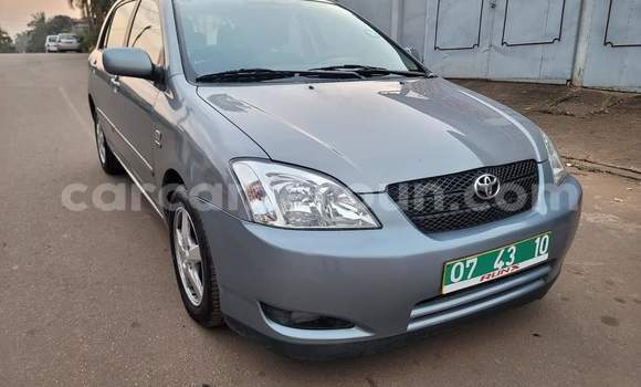 Acheter Occasion Voiture Toyota Corolla Bleu à Yaoundé, Central Cameroon Acheter Occasion Voiture Toyota Corolla Bleu à Yaoundé, Central Cameroon