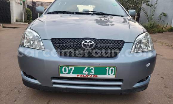 Acheter Occasion Voiture Toyota Corolla Bleu à Yaoundé, Central Cameroon Acheter Occasion Voiture Toyota Corolla Bleu à Yaoundé, Central Cameroon