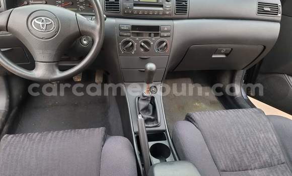 Acheter Occasion Voiture Toyota Corolla Bleu à Yaoundé, Central Cameroon Acheter Occasion Voiture Toyota Corolla Bleu à Yaoundé, Central Cameroon