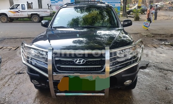 Acheter Occasion Voiture Hyundai Santa Fe Noir à Douala, Littoral Cameroon