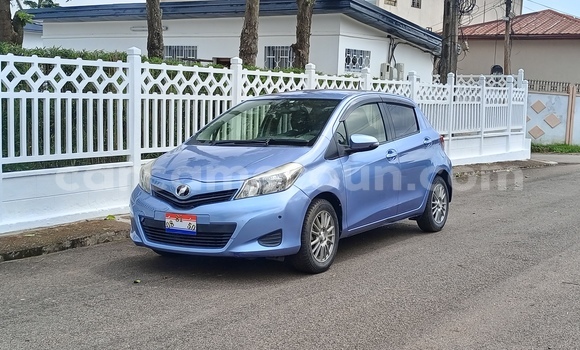 Buy Used Toyota Vitz Blue Car in Yaounde in Central Cameroon