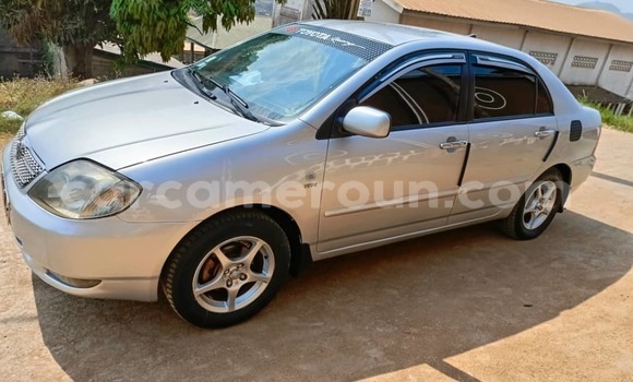 Acheter Occasion Voiture Toyota Corolla Beige à Yaoundé, Central Cameroon