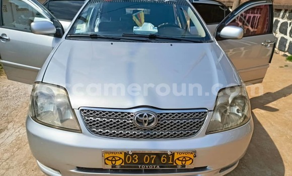Sayi Na hannu Toyota Corolla M Mota in Yaounde a Babban Kamaru Sayi Na hannu Toyota Corolla M Mota in Yaounde a Babban Kamaru