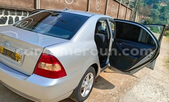 Sayi Na hannu Toyota Corolla M Mota in Yaounde a Babban Kamaru Sayi Na hannu Toyota Corolla M Mota in Yaounde a Babban Kamaru