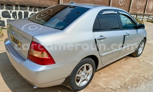 Sayi Na hannu Toyota Corolla M Mota in Yaounde a Babban Kamaru Sayi Na hannu Toyota Corolla M Mota in Yaounde a Babban Kamaru