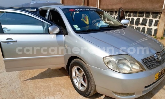 Sayi Na hannu Toyota Corolla M Mota in Yaounde a Babban Kamaru Sayi Na hannu Toyota Corolla M Mota in Yaounde a Babban Kamaru