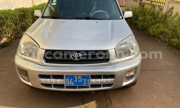 Buy Used Toyota RAV4 Beige Car in Yaounde in Central Cameroon