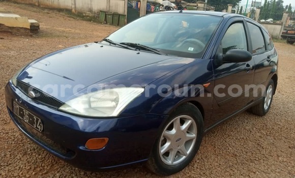 Buy Used Ford Focus Blue Car in Yaounde in Central Cameroon Buy Used Ford Focus Blue Car in Yaounde in Central Cameroon