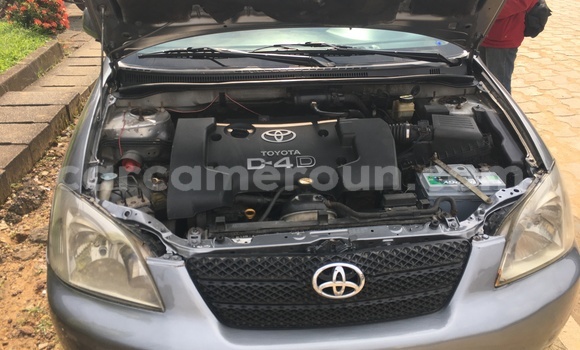 Sayi Na hannu Toyota Corolla Azurfa Mota in Douala a Ƙasar Kamaru Sayi Na hannu Toyota Corolla Azurfa Mota in Douala a Ƙasar Kamaru