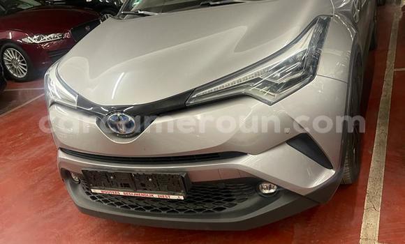 Buy Import Toyota C-HR Silver Car in Douala in Littoral Cameroon