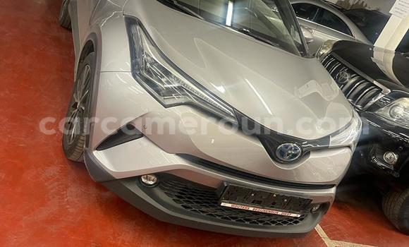 Buy Import Toyota C-HR Silver Car in Douala in Littoral Cameroon Buy Import Toyota C-HR Silver Car in Douala in Littoral Cameroon