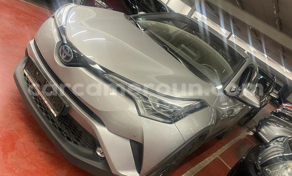 Buy Import Toyota C-HR Silver Car in Douala in Littoral Cameroon Buy Import Toyota C-HR Silver Car in Douala in Littoral Cameroon