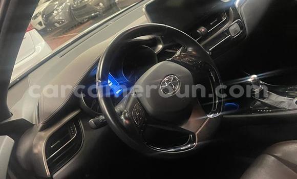 Buy Import Toyota C-HR Silver Car in Douala in Littoral Cameroon Buy Import Toyota C-HR Silver Car in Douala in Littoral Cameroon