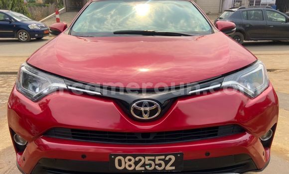 Buy Import Toyota RAV4 Red Car in Douala in Littoral Cameroon