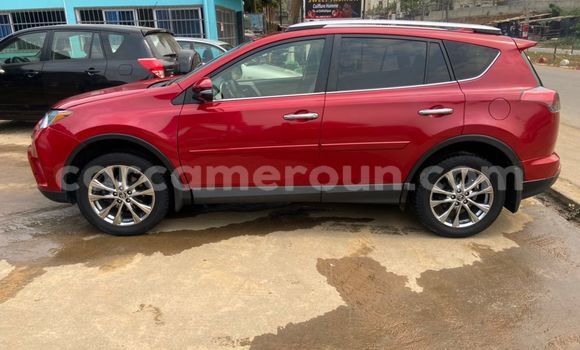 Buy Import Toyota RAV4 Red Car in Douala in Littoral Cameroon Buy Import Toyota RAV4 Red Car in Douala in Littoral Cameroon