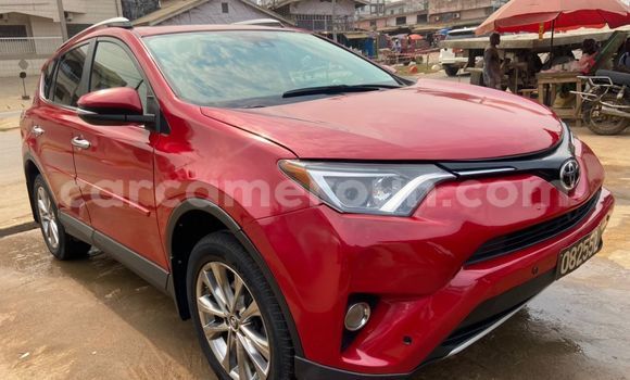 Buy Import Toyota RAV4 Red Car in Douala in Littoral Cameroon Buy Import Toyota RAV4 Red Car in Douala in Littoral Cameroon