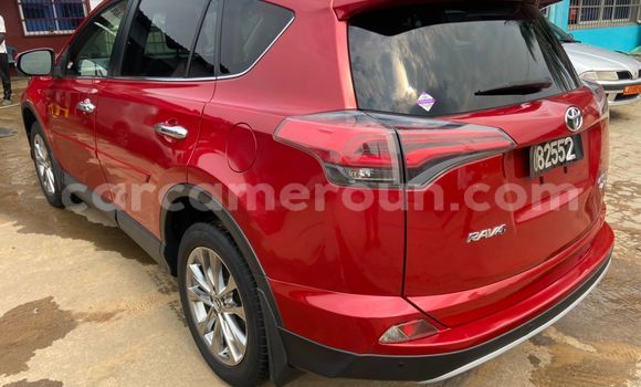 Buy Import Toyota RAV4 Red Car in Douala in Littoral Cameroon Buy Import Toyota RAV4 Red Car in Douala in Littoral Cameroon