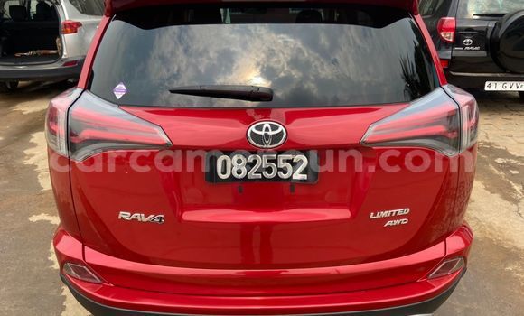 Buy Import Toyota RAV4 Red Car in Douala in Littoral Cameroon Buy Import Toyota RAV4 Red Car in Douala in Littoral Cameroon