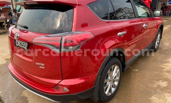 Buy Import Toyota RAV4 Red Car in Douala in Littoral Cameroon Buy Import Toyota RAV4 Red Car in Douala in Littoral Cameroon
