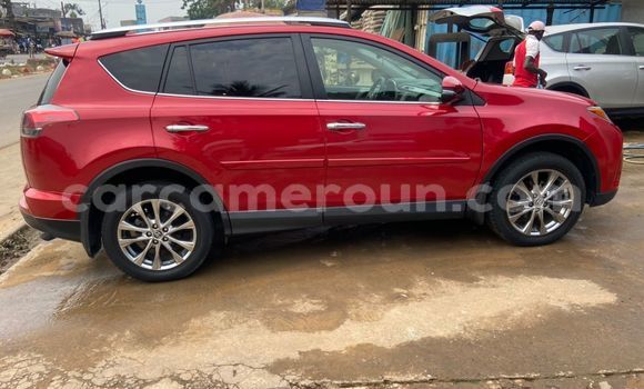 Buy Import Toyota RAV4 Red Car in Douala in Littoral Cameroon Buy Import Toyota RAV4 Red Car in Douala in Littoral Cameroon