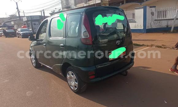 Buy Used Toyota Yaris Verso Green Car in Yaounde in Central Cameroon Buy Used Toyota Yaris Verso Green Car in Yaounde in Central Cameroon