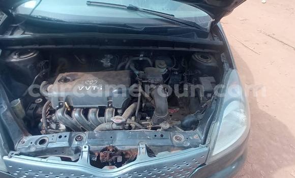 Buy Used Toyota Yaris Verso Green Car in Yaounde in Central Cameroon Buy Used Toyota Yaris Verso Green Car in Yaounde in Central Cameroon