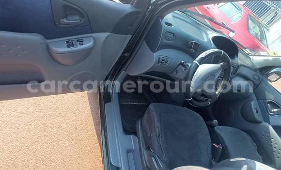 Buy Used Toyota Yaris Verso Green Car in Yaounde in Central Cameroon Buy Used Toyota Yaris Verso Green Car in Yaounde in Central Cameroon
